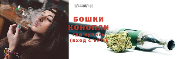 дурь Богданович