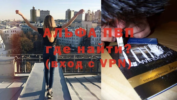 дурь Богданович