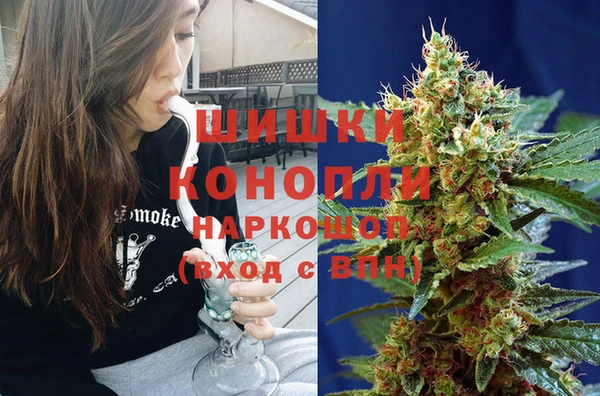 дурь Богданович