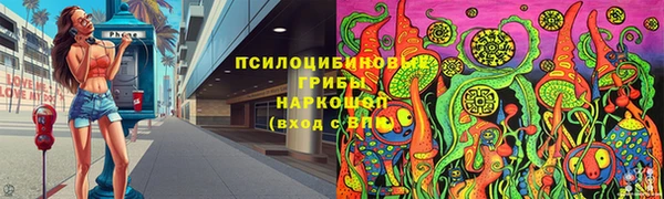 дурь Богданович