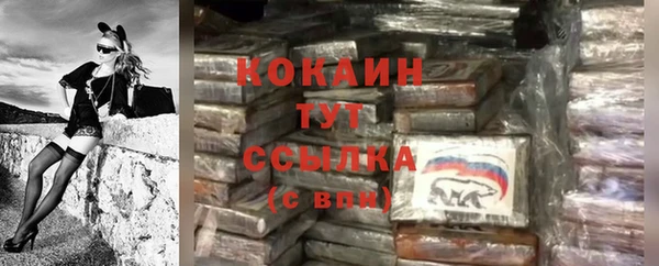 дурь Богданович